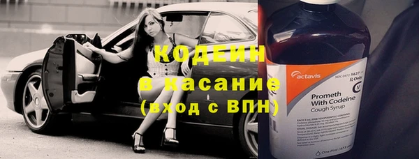 твердый Верхний Тагил