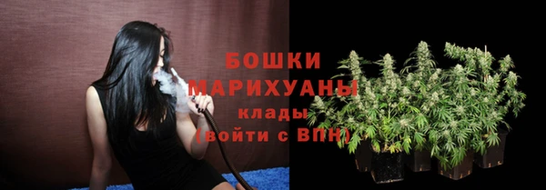 spice Бородино