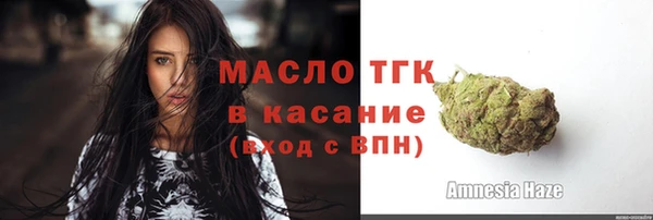 твердый Верхний Тагил