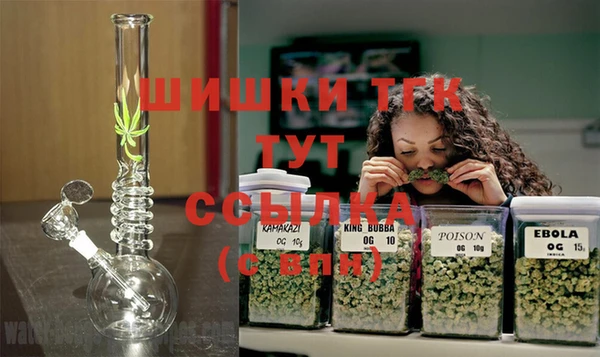 твердый Верхний Тагил