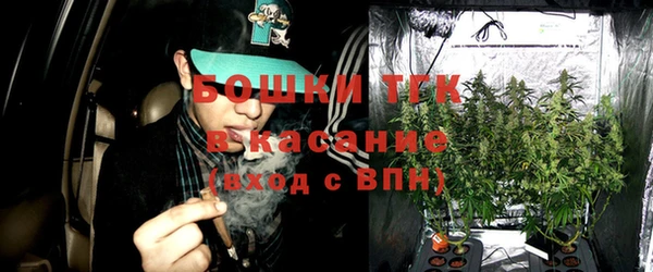 твердый Верхний Тагил