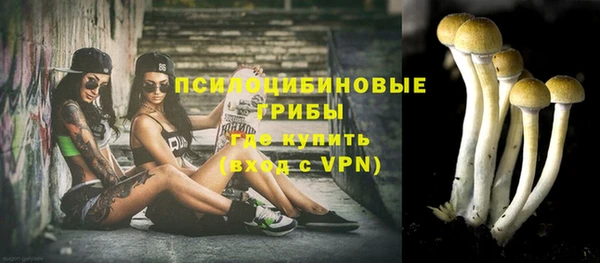 твердый Верхний Тагил